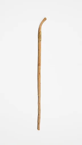 Walking stick