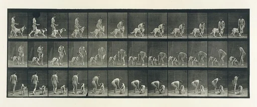 Animal Locomotion. An Electro-Photographic Investigation of Consecutive Phases of Animal Movements. Commenced 1872 - Completed 1885. Volume IV, Women (Nude)