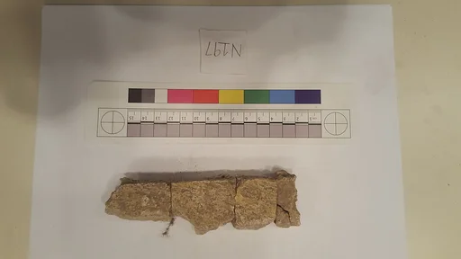 Stucco Fragment