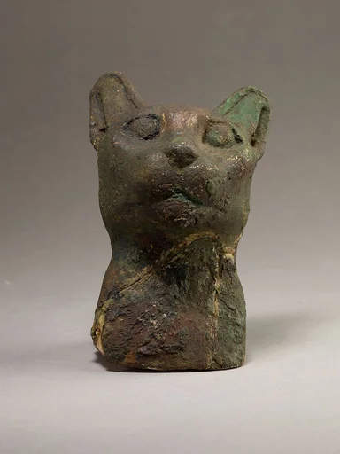 Cat head