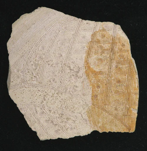 Fragment