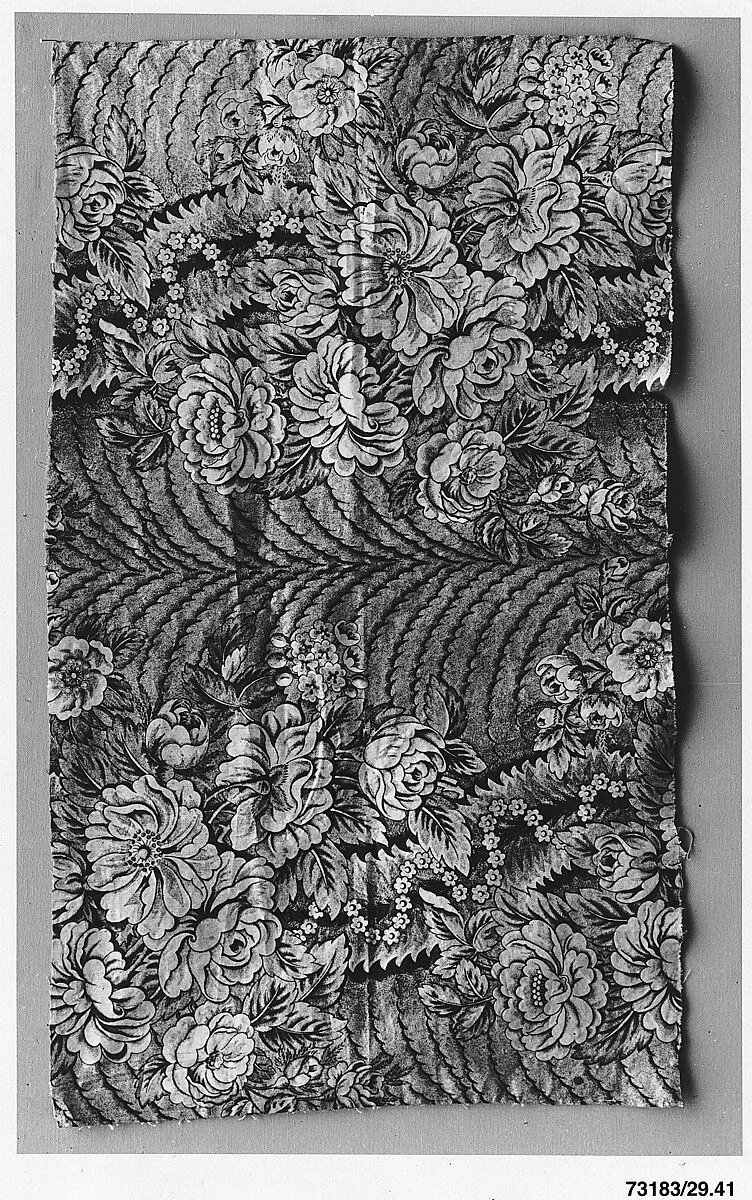 Fragment — Unknown