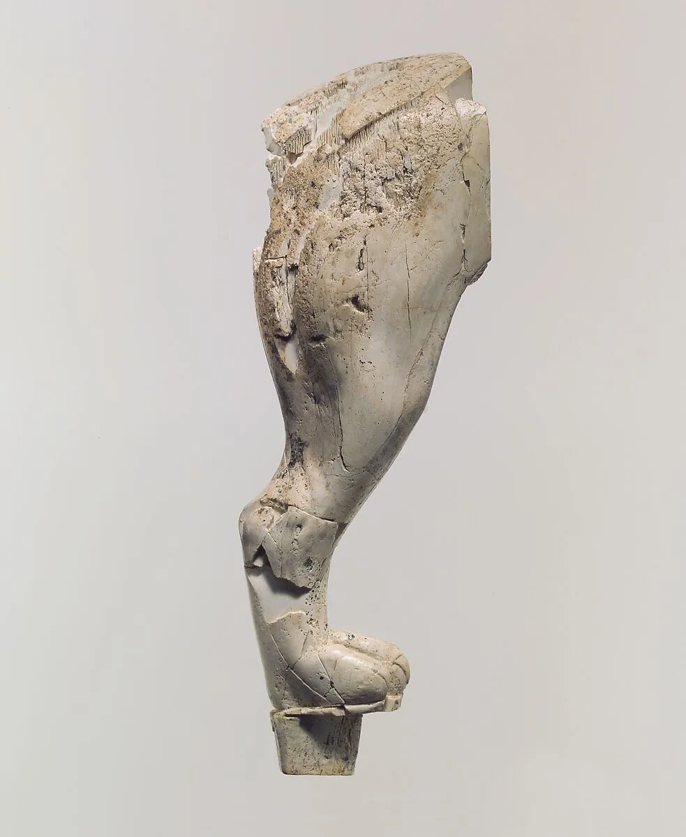 Furniture support carved in the round with a lion's hind leg — Unknown