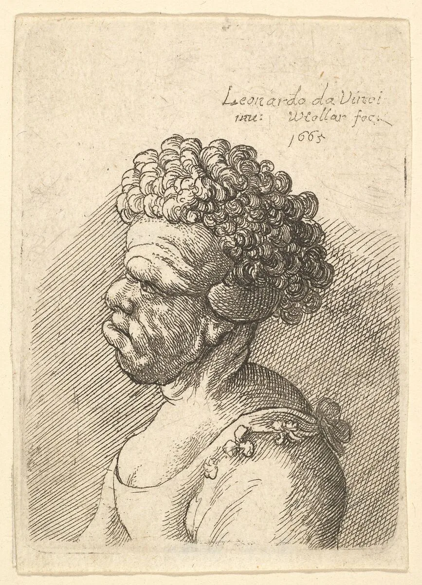 Bust of a deformed woman with curly hair in profile to the left — Leonardo da Vinci|Wenceslaus Hollar