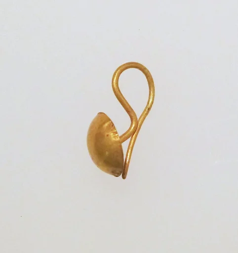 Earring-hook type with disc