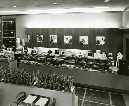 Photograph
