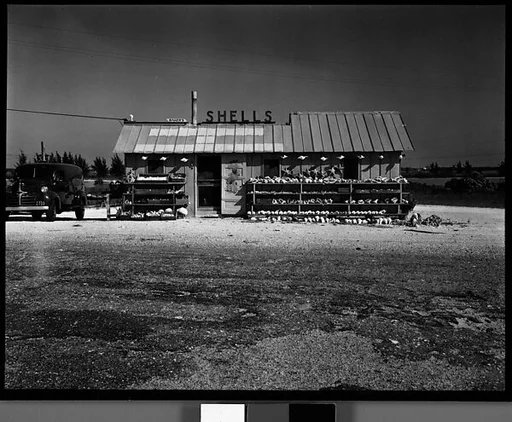 [Baker's Roadside Shell Stand, Florida]