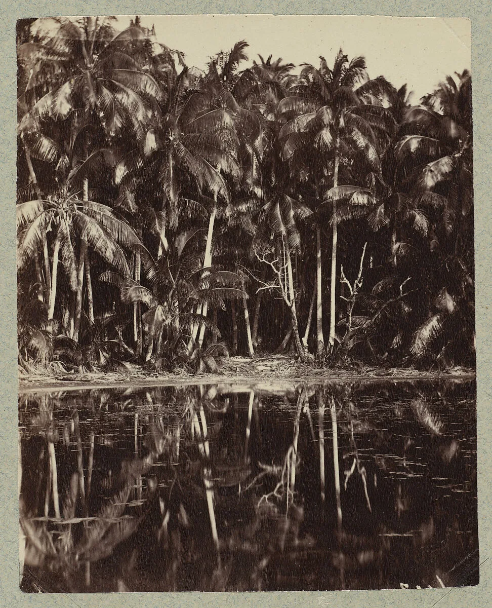 Tetiaroa - Un lagon des Paumotu — Charles Spitz
