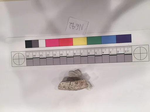 Stucco Fragment