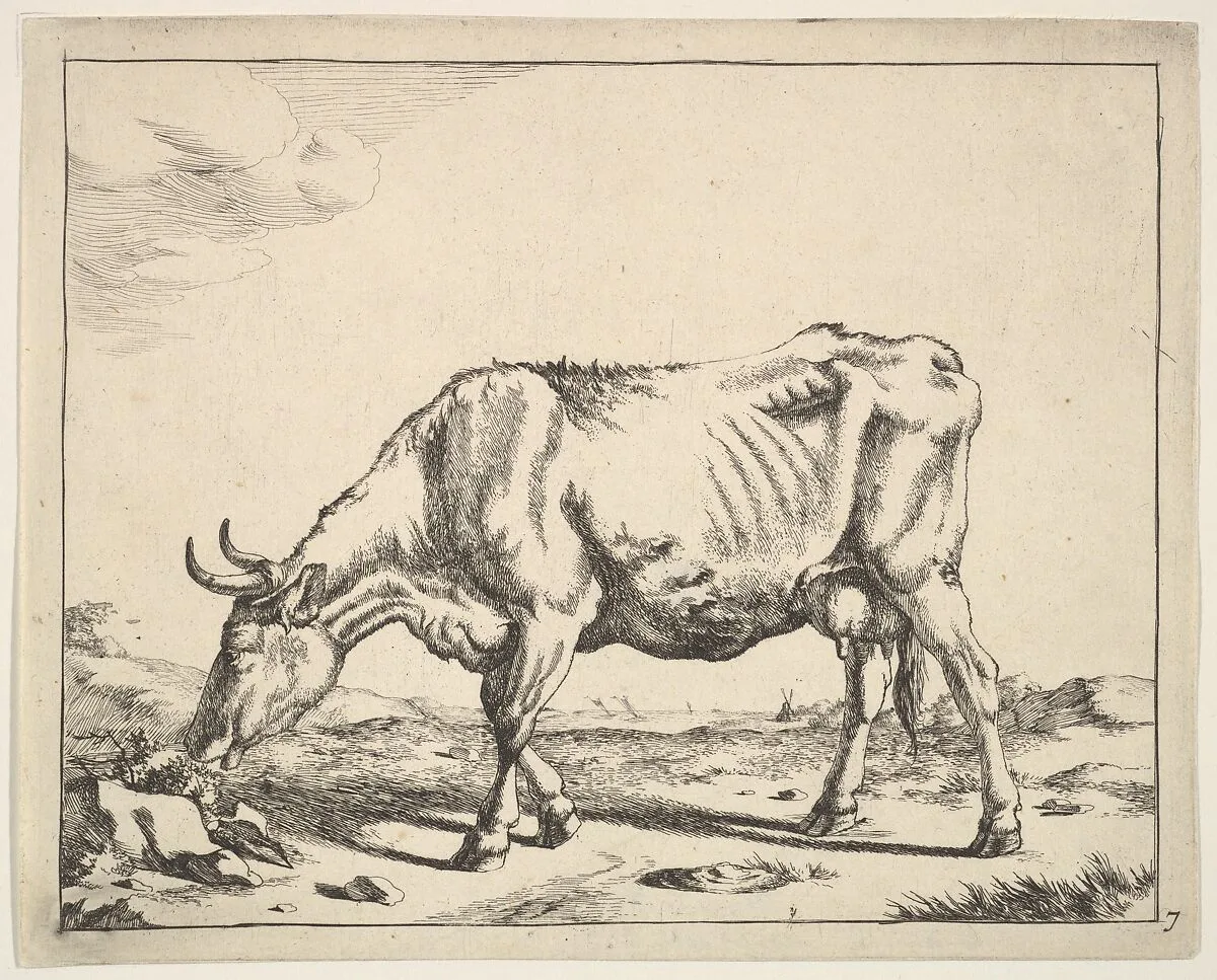 Cow, after Paulus Potter — Marcus de Bye|Paulus Potter