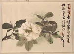 繪畫贈謝稚柳|Flora and Landscape (Paintings for Xie Zhiliu) — Wu Hao