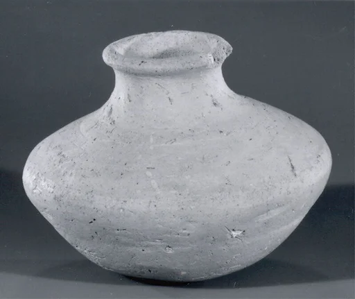 Bottle