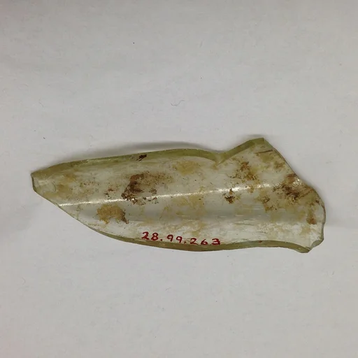 Fragment