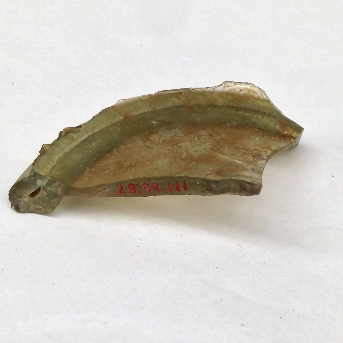 Fragment — Unknown