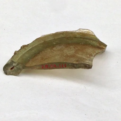 Fragment