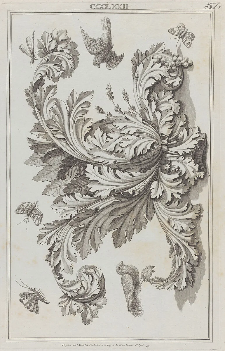 Acanthus Leaves, Birds and Insects, no. CCCLXXII, plate 57 from "Designs for Various Ornaments" — Michelangelo Pergolesi