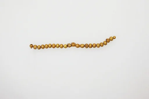 Beads, 23