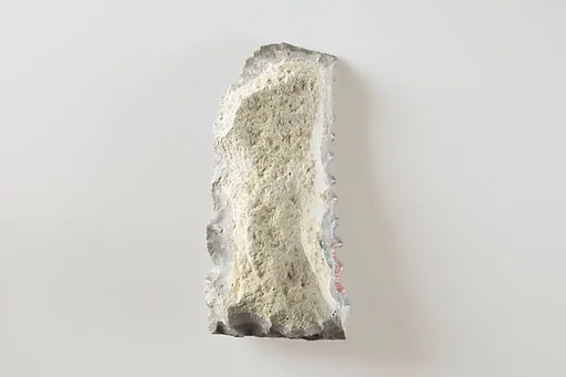 Sickle Insert