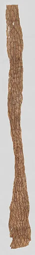 Loincloth