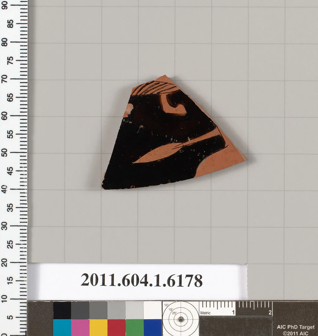 Terracotta fragment of a kylix (drinking cup) — Unknown