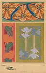 Tulipes (Tulips), pl. 8 — A. Calavas|Emile-Allain Séguy