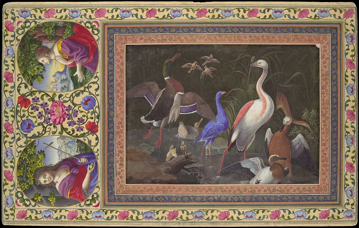 "Aquatic Birds at a Pool", Folio from the Davis Album — Unknown