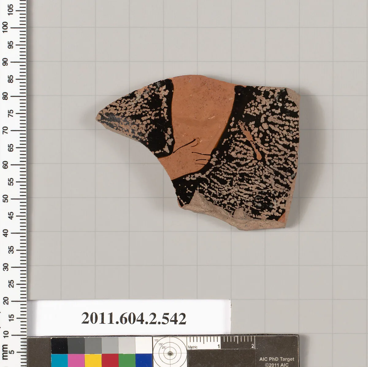 Terracotta fragment of a column-krater (bowl for mixing wine and water) — Unknown
