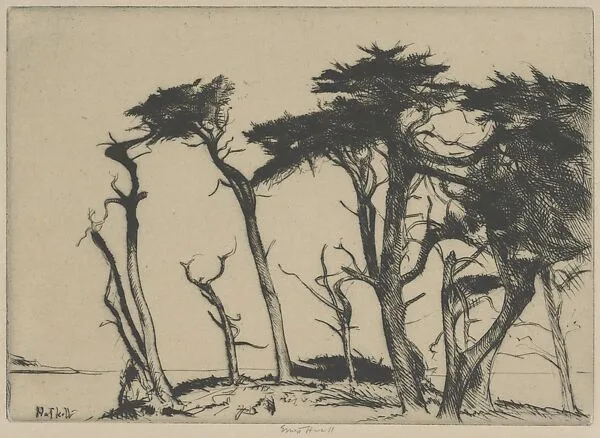 The Rhythm of the Cypress — Ernest Haskell