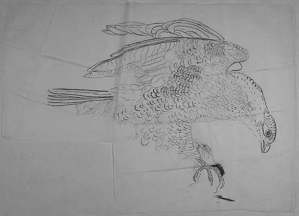 Untitled — Xie Zhiliu