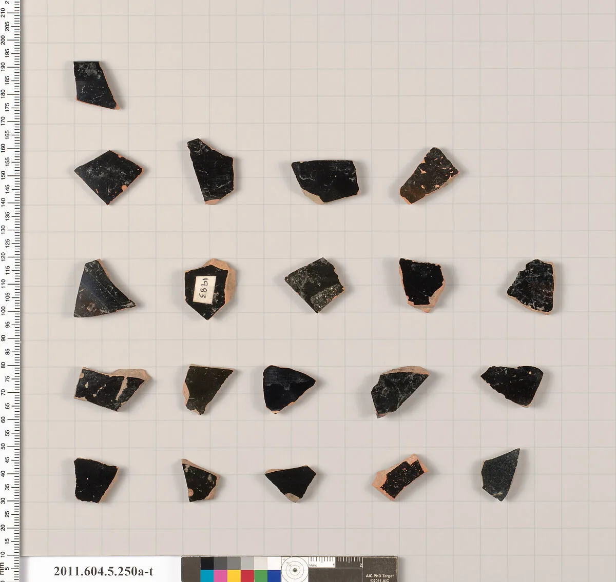 Terracotta fragments of kylikes (drinking cups) — Unknown