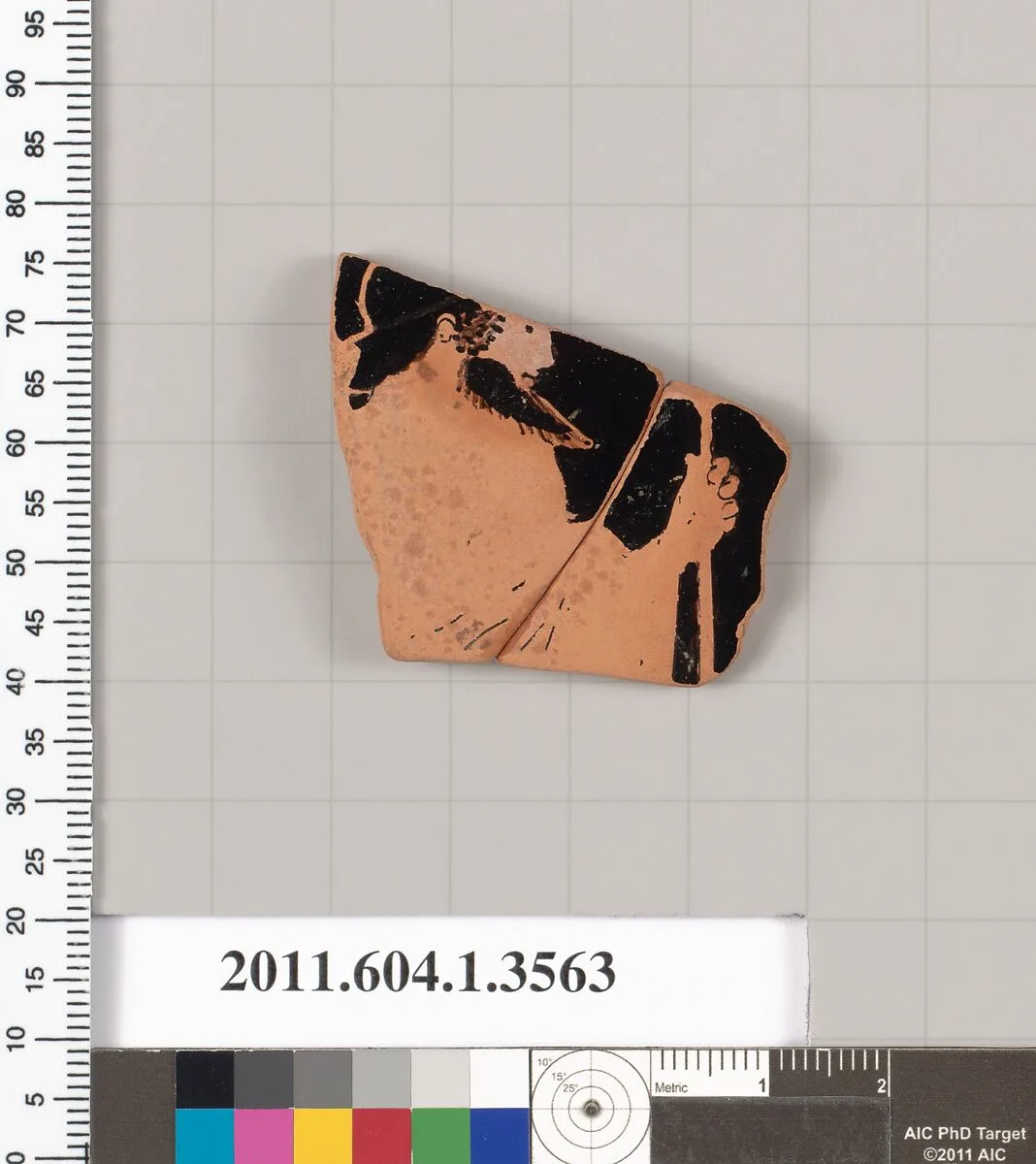 Terracotta fragment of a kylix (drinking cup) — Unknown