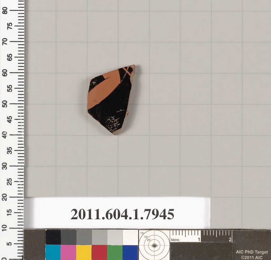 Terracotta fragment of a kylix (drinking cup) — Unknown