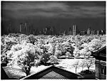 [Central Park from the Roof of the Metropolitan Museum of Art]