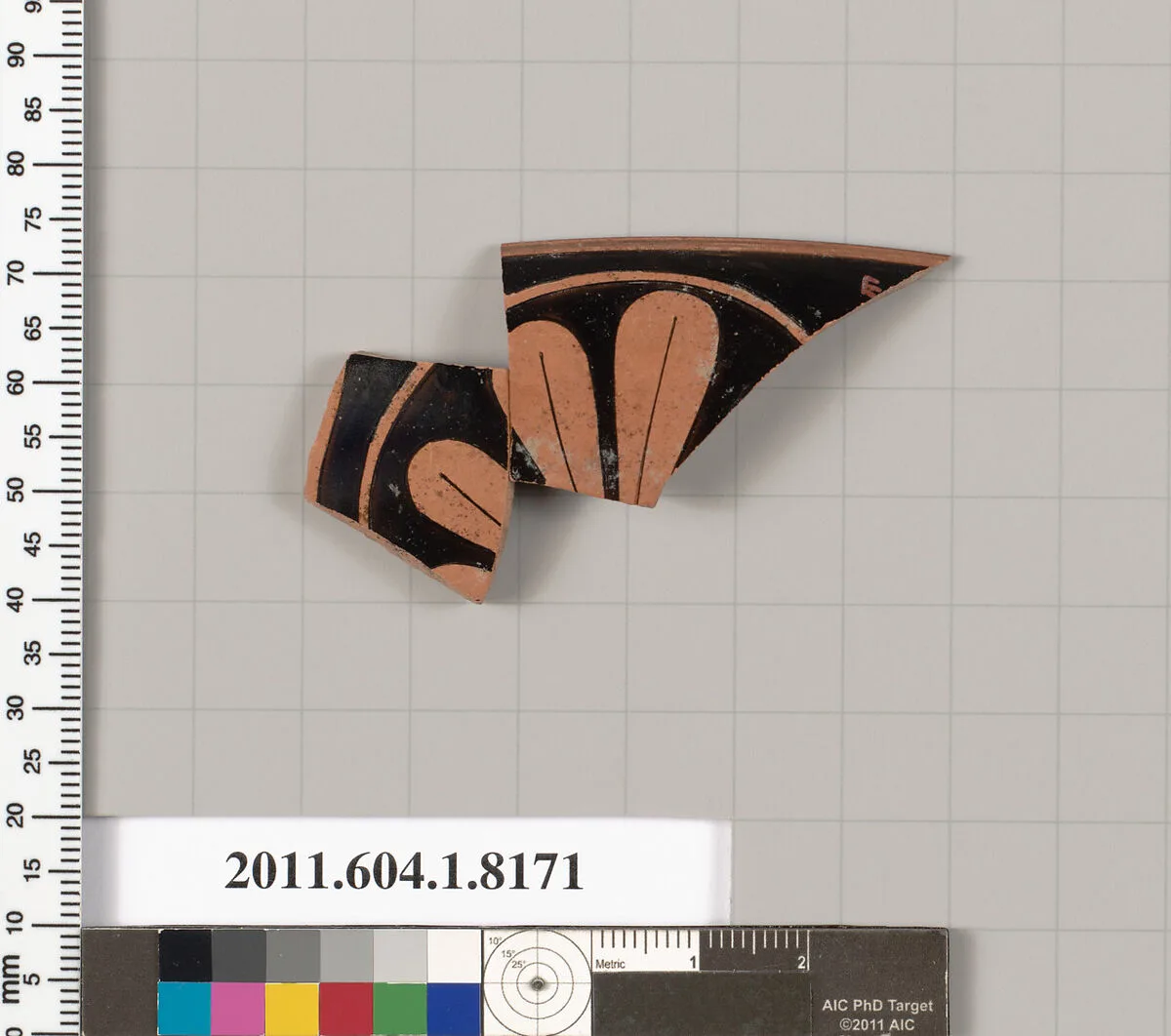 Terracotta fragment of a kylix (drinking cup) — Unknown