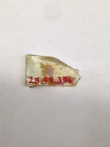 Fragment