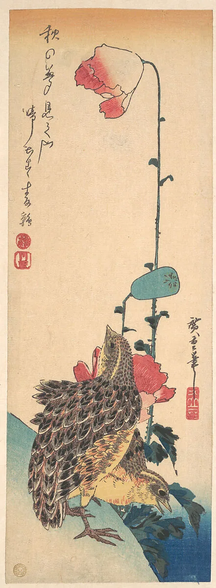 歌川広重画 罌栗に鶉|A Pair of Quails and Poppies — Utagawa Hiroshige