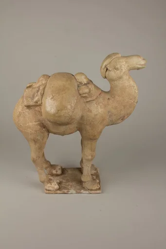 唐  陶駱駝（一對）|Two camels