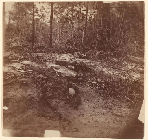 [The Wilderness Battlefield]