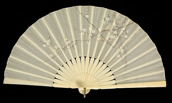 Fan — Unknown