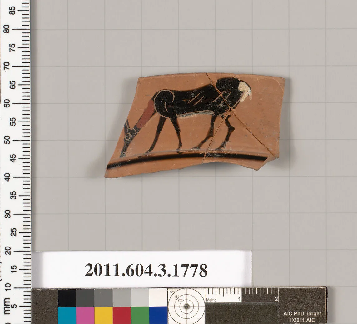 Terracotta rim fragment of a kylix: Lip cup (drinking cup) — Unknown