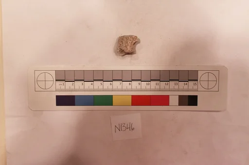 Stucco Fragment