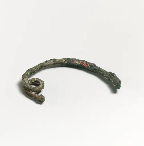Fibula