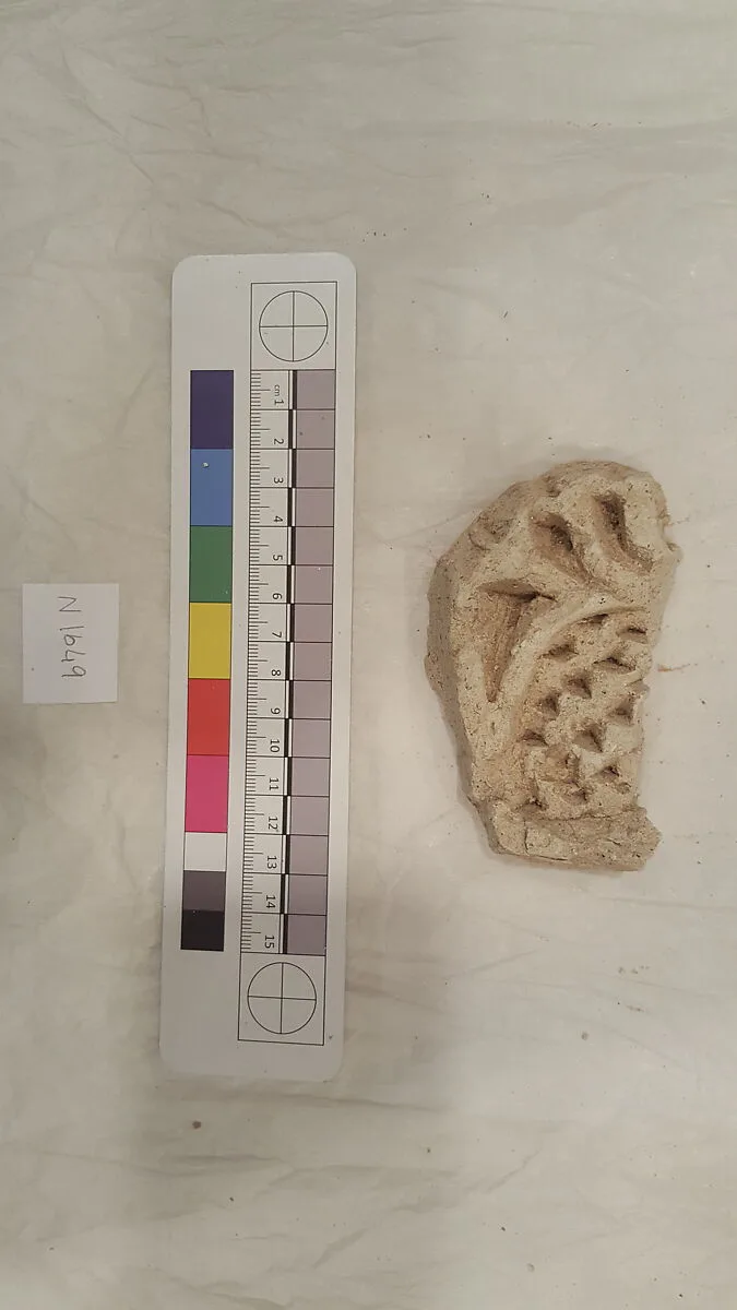 Stucco Fragment — Unknown