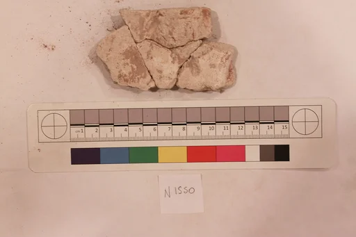 Stucco Fragment