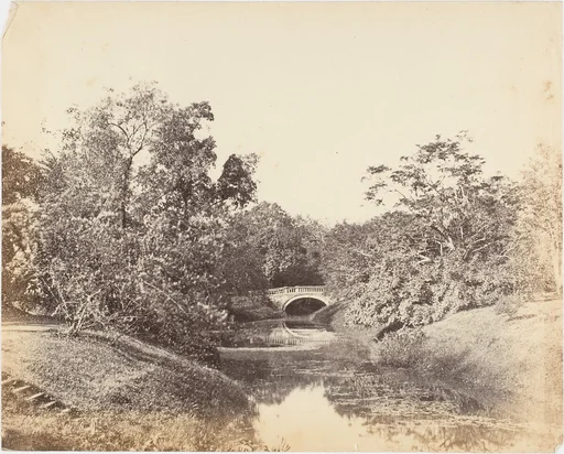 [Botanical Gardens, Calcutta]