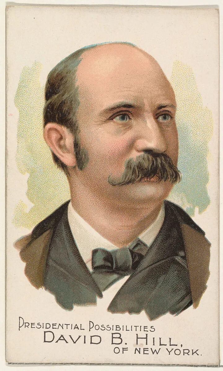David B. Hill of New York, from the Presidential Possibilities series (N124) issued by Duke Sons & Co. to promote Honest Long Cut Tobacco — W. Duke, Sons & Co.|The Giles Company