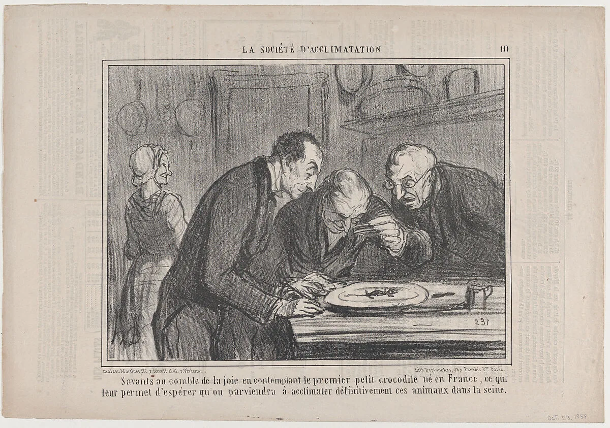 Savants au comble de la joie en contemplant le premier petit crocodile né e France..., from La Société d'Acclimatations, published in Le Charivari, October 23, 1858 — Destouches|Aaron Martinet|Honoré Daumier