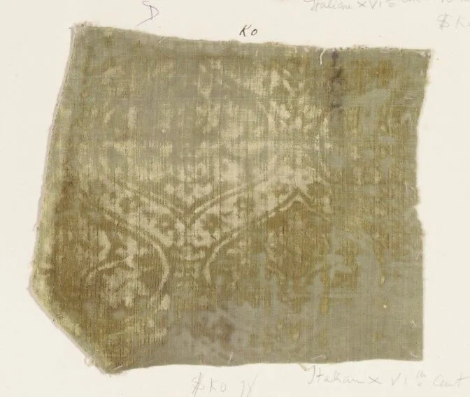 Fragment — Unknown