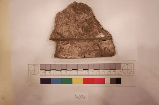 Stucco Fragment