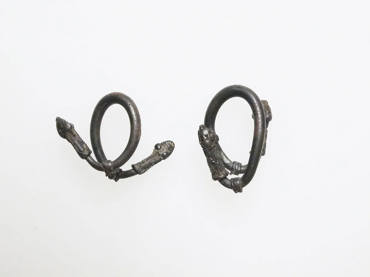 Earring or spiral — Unknown